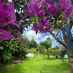Guest house Quinta Dos Bravos