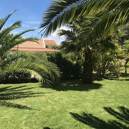 Quinta Dos Bravos Pico da Pedra