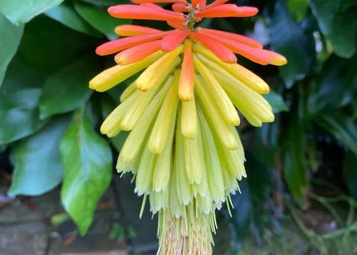 Quinta Dos Bravos بيت ضيافة 4*