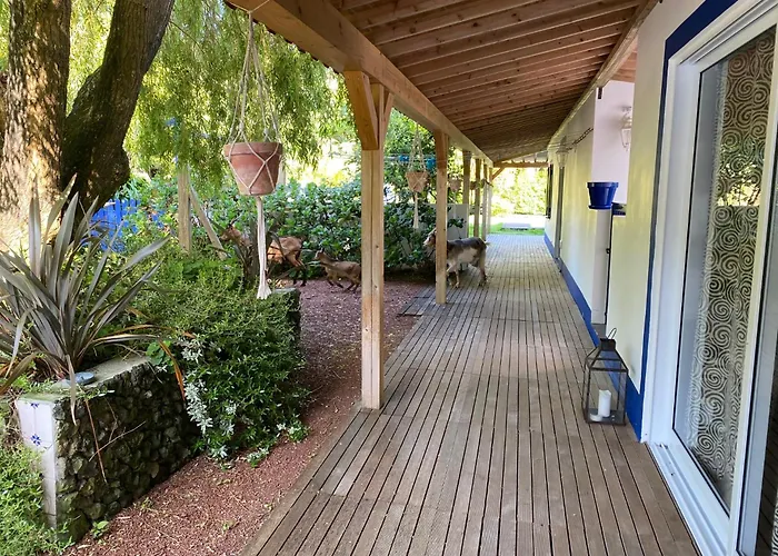 Quinta Dos Bravos بيت ضيافة 4*