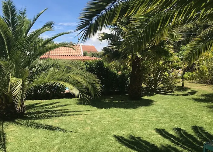 Quinta Dos Bravos Pico da Pedra