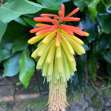 Quinta Dos Bravos Gæstehus 4*