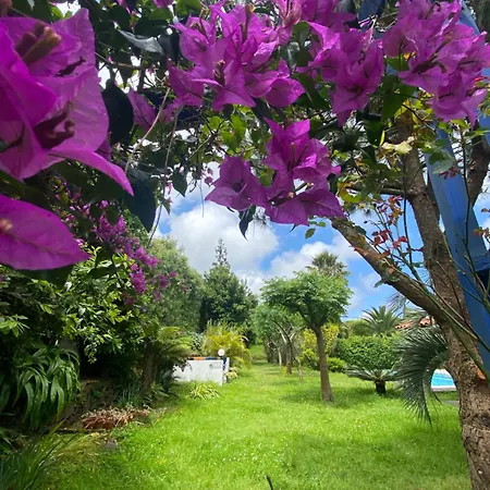 Gæstehus Quinta Dos Bravos