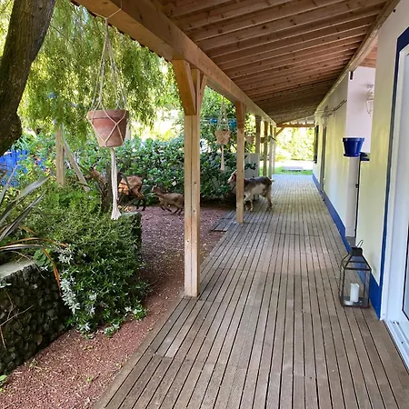 Quinta Dos Bravos ゲストハウス 4*