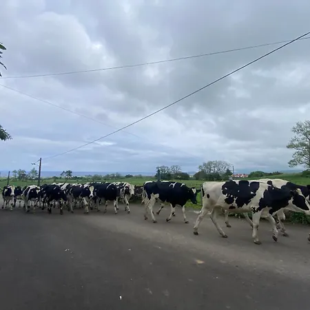 Quinta Dos Bravos