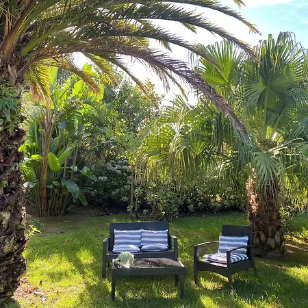 Quinta Dos Bravos 4* Pico da Pedra