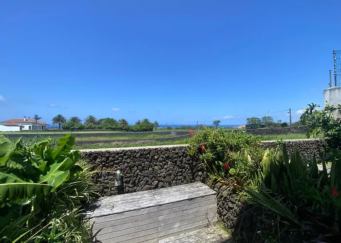 Casa de hóspedes Quinta Dos Bravos